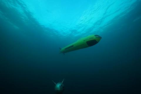ECA Group's latest mid-size AUV A18-M dedicated to mine counter measures. Photo: ECA Group