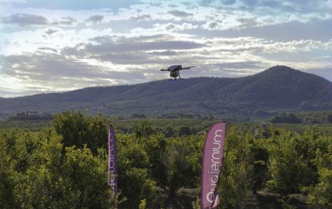 Quaternium has broken the World Record of flight endurance using its HYBRiX UAV. Photo: Quaternium