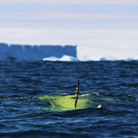 The autonomous underwater vehicle nupiri muka approaches the Sørsdal Glacier. Photo: Australian Antarctic Division